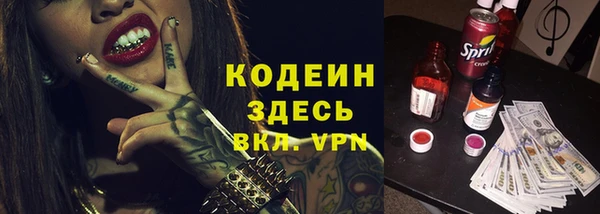 соль ск Верхний Тагил