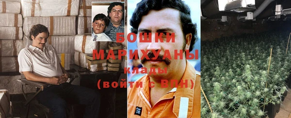 соль ск Верхний Тагил