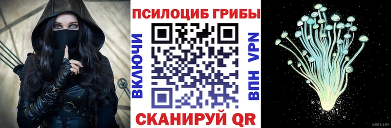 Псилоцибиновые грибы Cubensis  Дмитров 