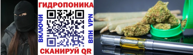 Бошки Шишки OG Kush  где купить наркотик  Дмитров 